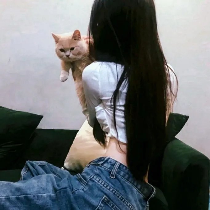 卖命生涯 在线观看