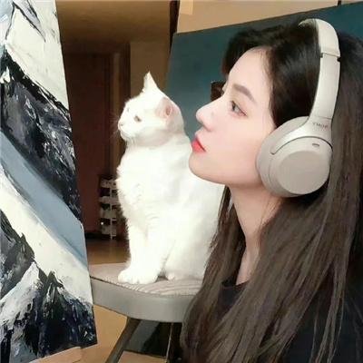浪漫喜剧 在线观看